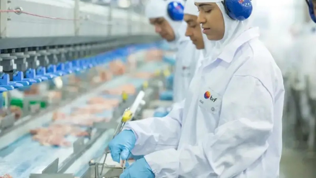 MBRF3 dispara na bolsa de valores e carrega IBOV junto (Imagem: Shutterstock)