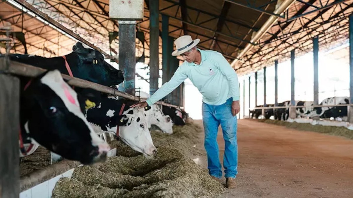 BBAS3 aposta em sustentabilidade na cadeia leiteira nacional (Imagem: Divulgação)