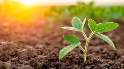 Vittia trabalha com insumos agrícolas (Imagem: Shutterstock) Vittia trabalha com insumos agrícolas (Imagem: Shutterstock)