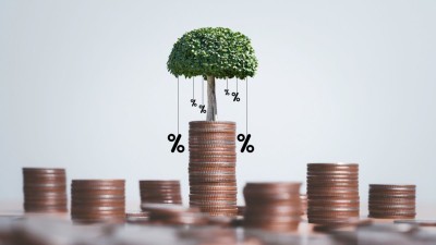 Na sequência, Allos e Vulcabras também remuneram seus acionistas (Imagem: Shutterstock)