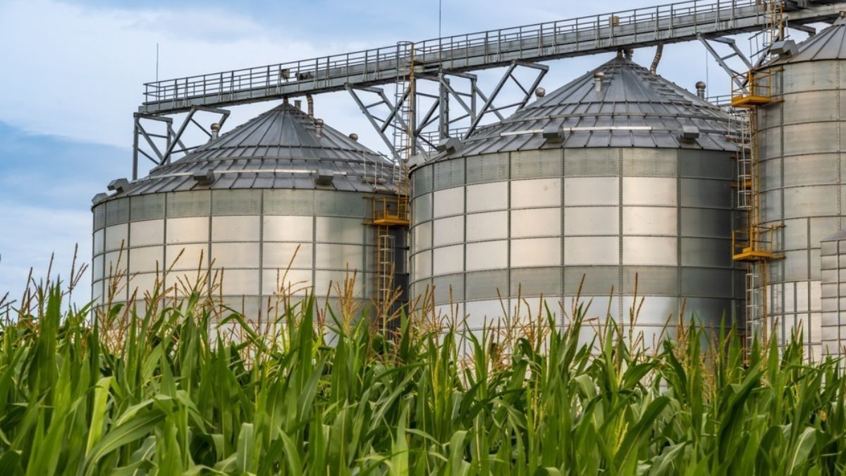 Kepler Weber oferece soluções pós-colheita para o agronegócio (Imagem: Shutterstock)