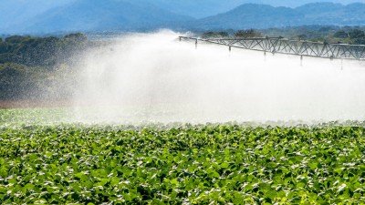 SLCE3 se junta ao Fundo de Investimento em Participações (FIP) do BTG Pactual (Imagem: Shutterstock)