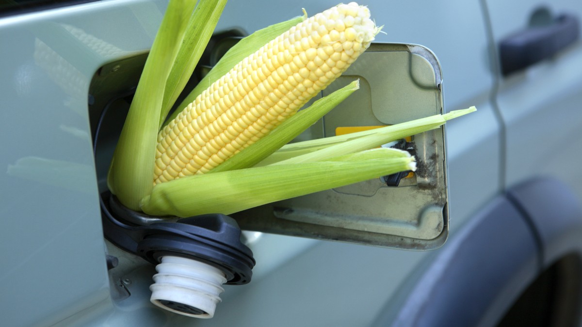 CRA da 3tentos financia projetos de etanol de milho e biodiesel (Imagem: Shutterstock)