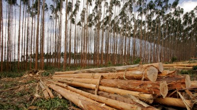 FII RZTR11 terá impacto negativo de R$ 0,20 por cota com o negócio (Imagem: Shutterstock)