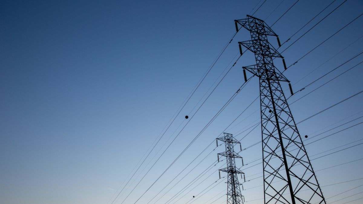 A melhora na operação de distribuição foi um dos principais destaques do balanço (Imagem: Shutterstock)