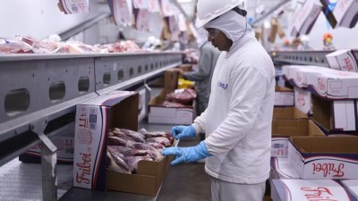 JBSS32 tem recomendação de compra, com preço-alvo de R$ 99 por ação (Imagem: Renan Aires/JBS)