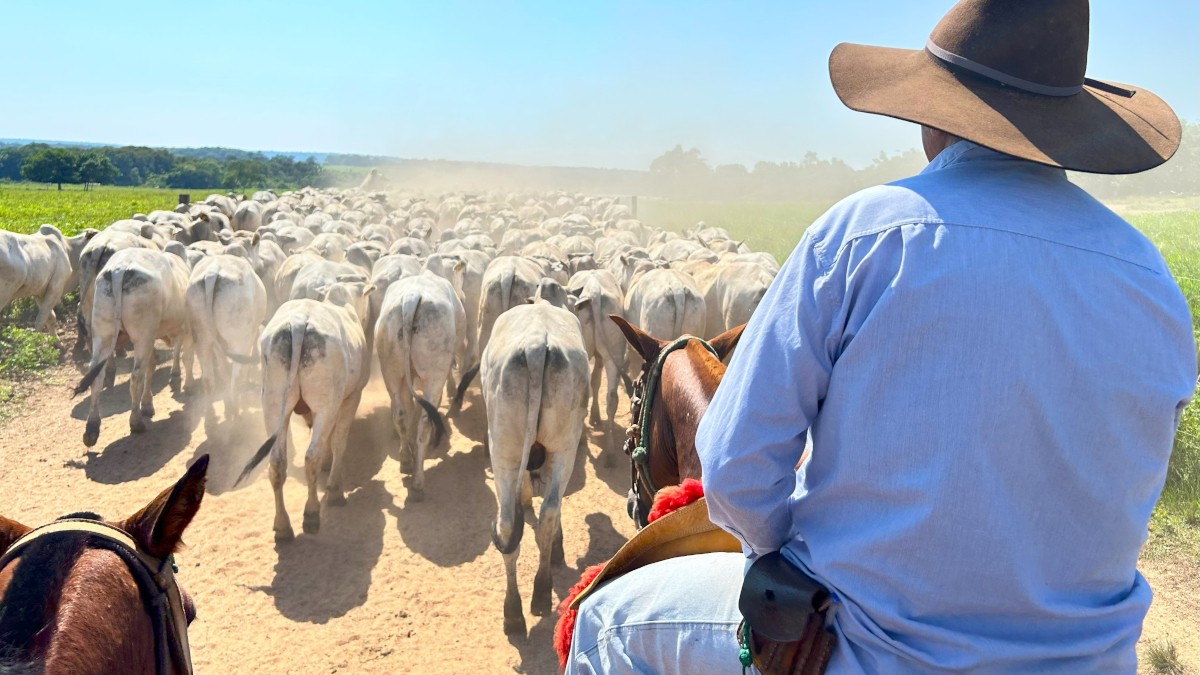 Commodities em alta no exterior garantiram mais um degrau para cima ao IBOV (Imagem: Shutterstock)
