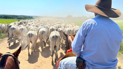 Commodities em alta no exterior garantiram mais um degrau para cima ao IBOV (Imagem: Shutterstock)