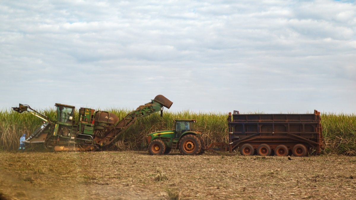 Números divulgados pela RAIZ4 compreendem o intervalo de julho a setembro de 2025 (Imagem: Shutterstock)