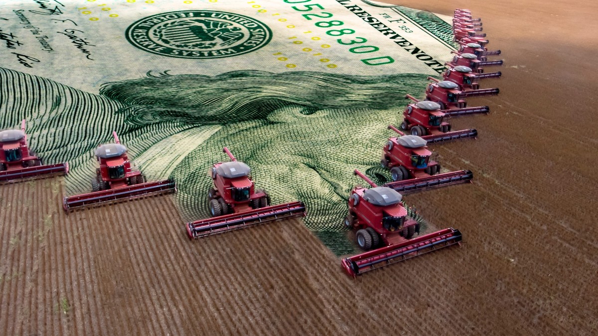 Propriedade rural do FII RZTR11 cultiva soja, milho e cana-de-açúcar (Imagem: Shutterstock)