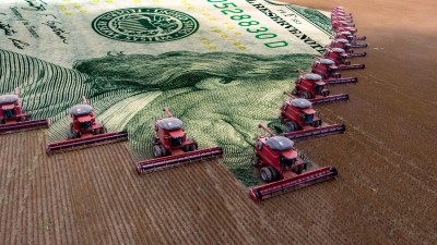 Propriedade rural do FII RZTR11 cultiva soja, milho e cana-de-açúcar (Imagem: Shutterstock)