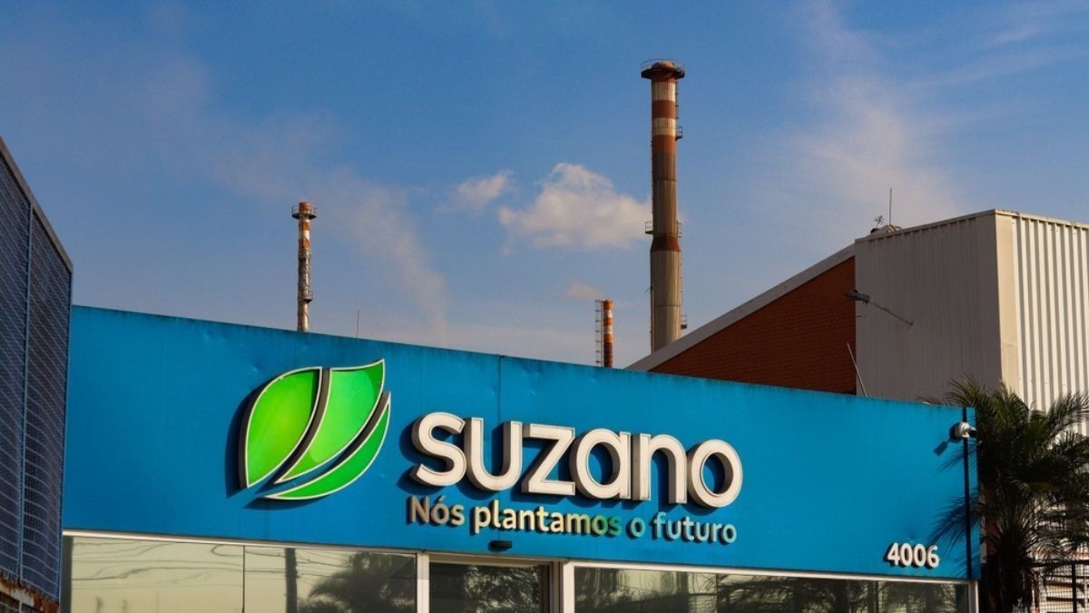 Suzano é uma empresa que produz papel e celulose (Imagem: Shutterstock)
