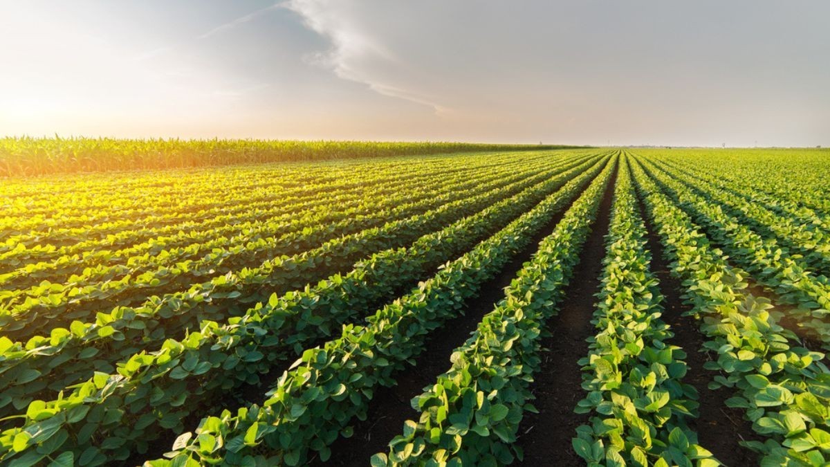 A data de corte é 12 de dezembro de 2025 (Imagem: Shutterstock)