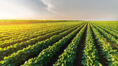 A data de corte é 12 de dezembro de 2025 (Imagem: Shutterstock)