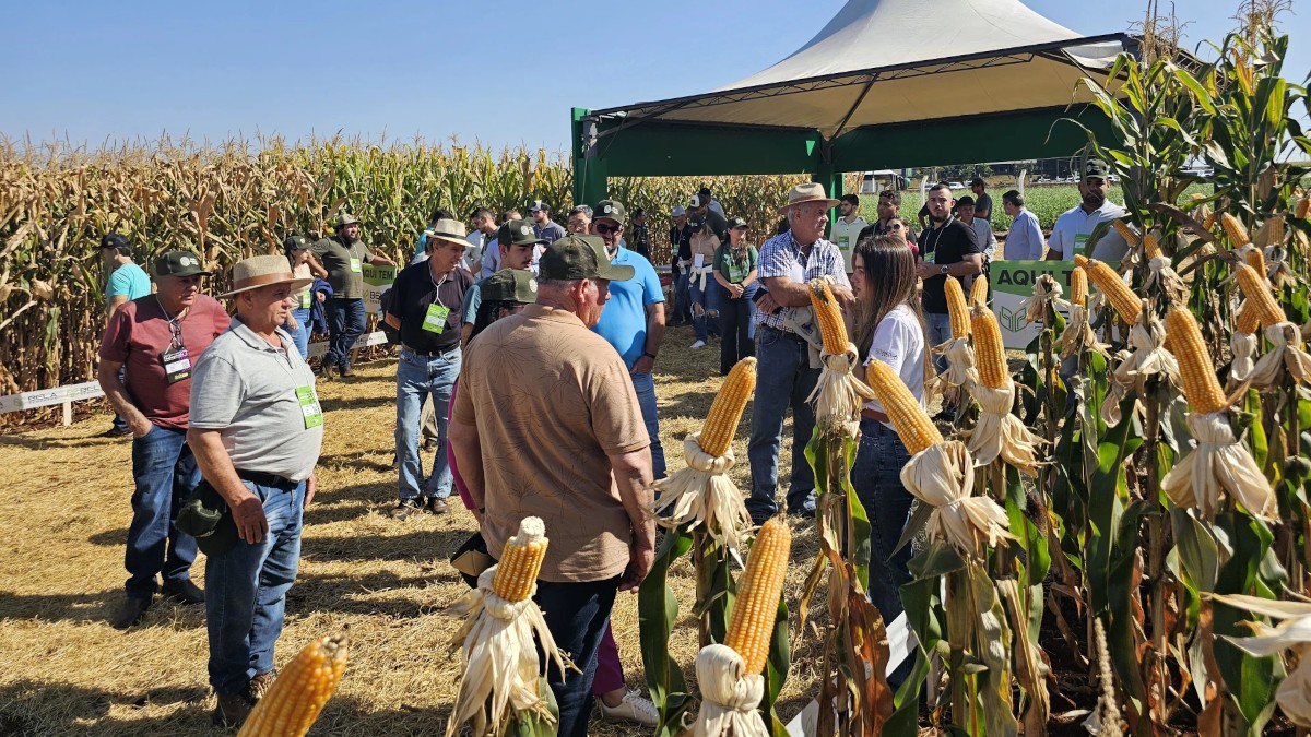 Situação da Belagrícola lembra o caso da Agrogalaxy e Fiagro faz sua parte (Imagem: Reprodução/Belagrícola)