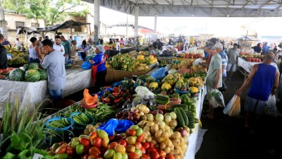 IBC mede o desempenho de todos os setores da economia brasileira (Imagem: Shutterstock)