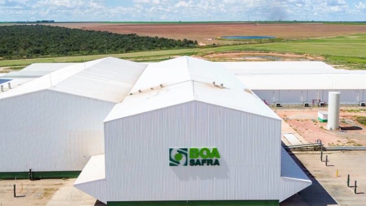 SOJA3 remunera valor bruto de R$ 0,29 por ação (Imagem: Divulgação)