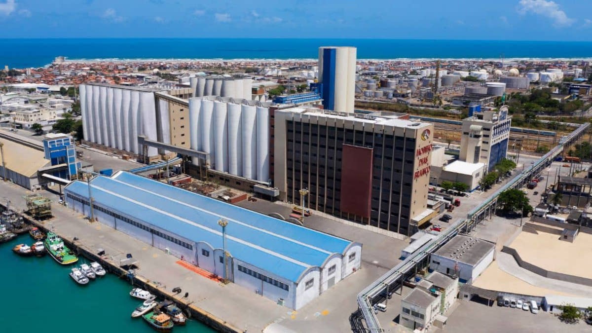 MDIA3 remunerará dividendos de R$ 0,62 por ação (Imagem: Divulgação)