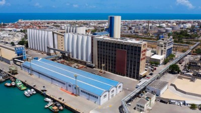 MDIA3 remunerará dividendos de R$ 0,62 por ação (Imagem: Divulgação)