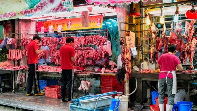 Ações de frigoríficos brasileiros caem forte neste início de ano (Imagem: Shutterstock)