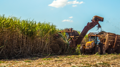 Não foram identificados riscos relevantes associados à operação (Imagem: Shutterstock)