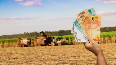 Estoques de LCAs no Banco Sofisa Direto durarão com base na lei da oferta e demanda (Imagem: Shutterstock)