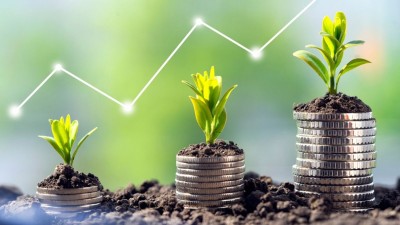 No mercado de grãos, o BB Investimentos observa comportamentos distintos (Imagem: Shutterstock)