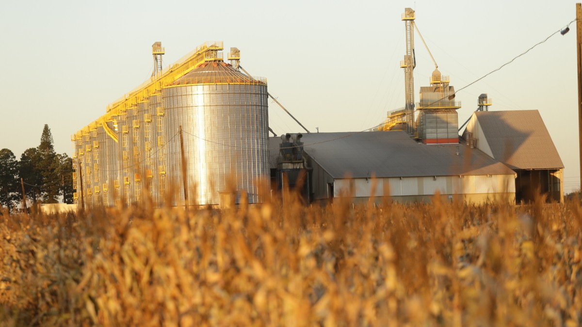 FII PLAG11 gera lucro de R$ 8,42 por cota com a venda dos silos no interior do Paraná (Imagem: Shutterstock)