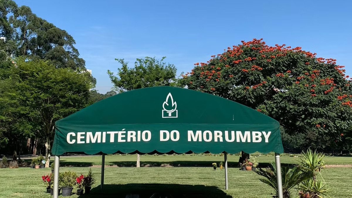 FII CARE11 acumula perdas de quase -70% nos últimos cinco anos (Imagem: Divulgação)