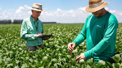 CRA emitido pela SLCE3 vence em 2033 e chama a atenção dos analistas do BTG Pactual (Imagem: Divulgação)