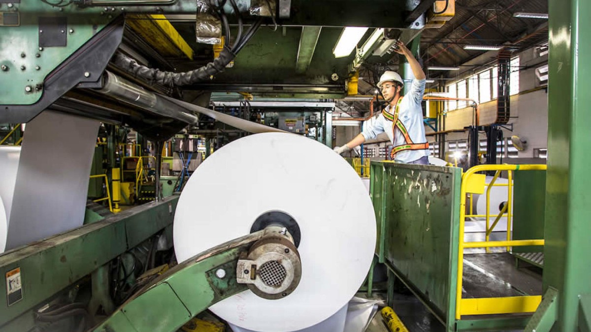 Preços da celulose se recuperam do tarifaço de Trump e ajudam SUZB3 (Imagem: Divulgação)