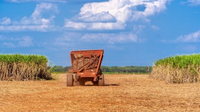 O Ebitda ajustado somou R$ 346,1 milhões (Imagem: Shutterstock)