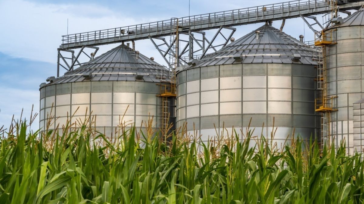 Os acionistas terão duas opções de pagamento antes da incorporação (Imagem: Shutterstock)