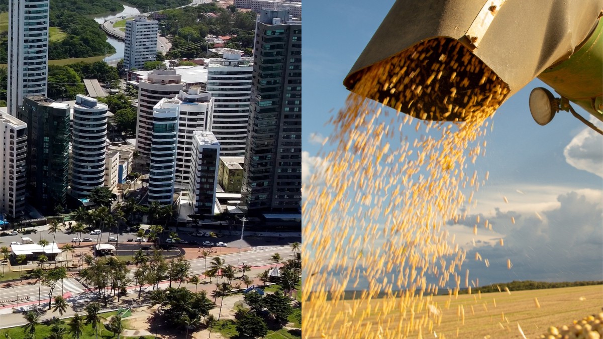 LCAs e LCIs são títulos de renda fixa isentos da cobrança de IR (Imagem: Shutterstock)