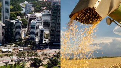 LCAs e LCIs são títulos de renda fixa isentos da cobrança de IR (Imagem: Shutterstock)