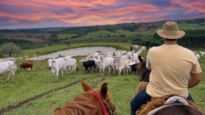 Fiagro ROCA11 investirá principalmente em operações de crédito ligadas ao agronegócio (Imagem: Shutterstock)