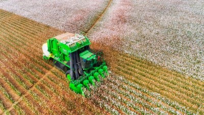 Segundo a companhia, o desempenho foi pressionado pela elevação nas despesas com vendas (Imagem: Shutterstock)