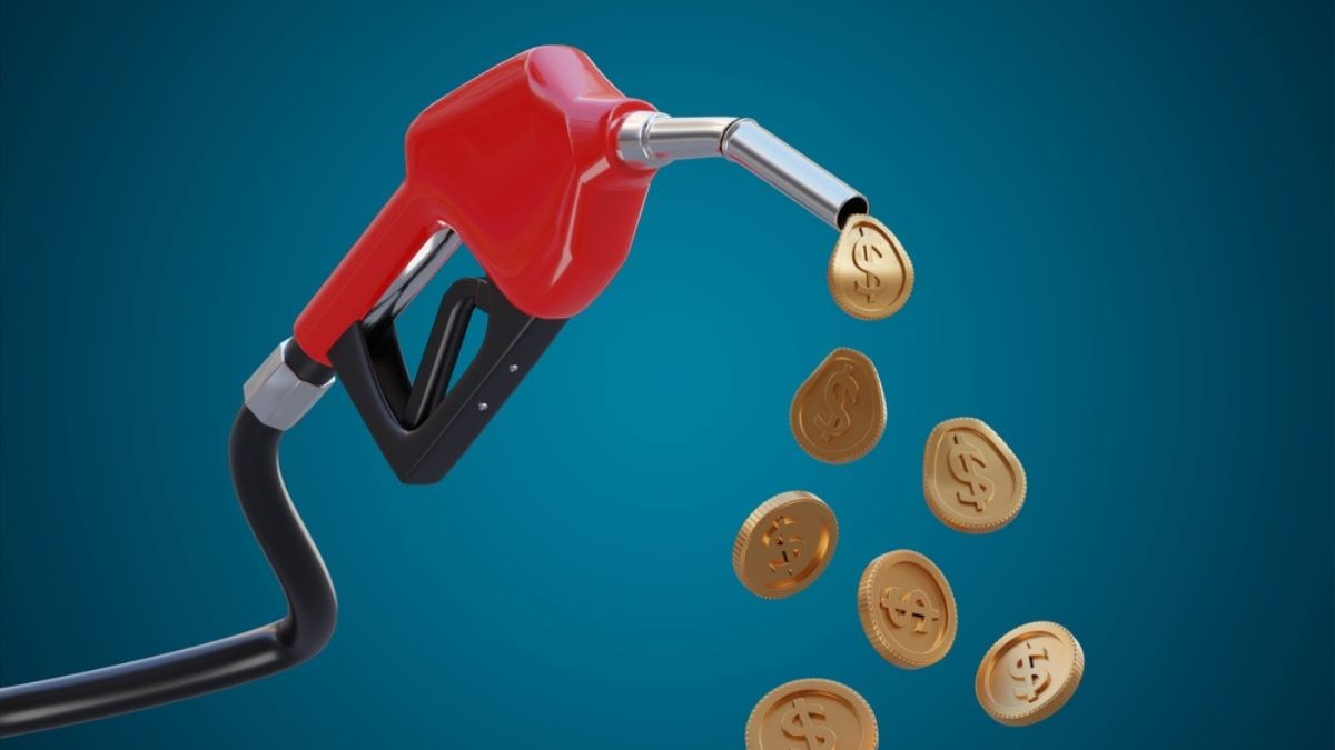 Vibra é a antiga BR Distribuidora (Imagem: Divulgação)