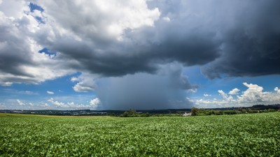Fiagro AGRX11 traz dividend yield mensal de 1,47% (Imagem: Shutterstock)