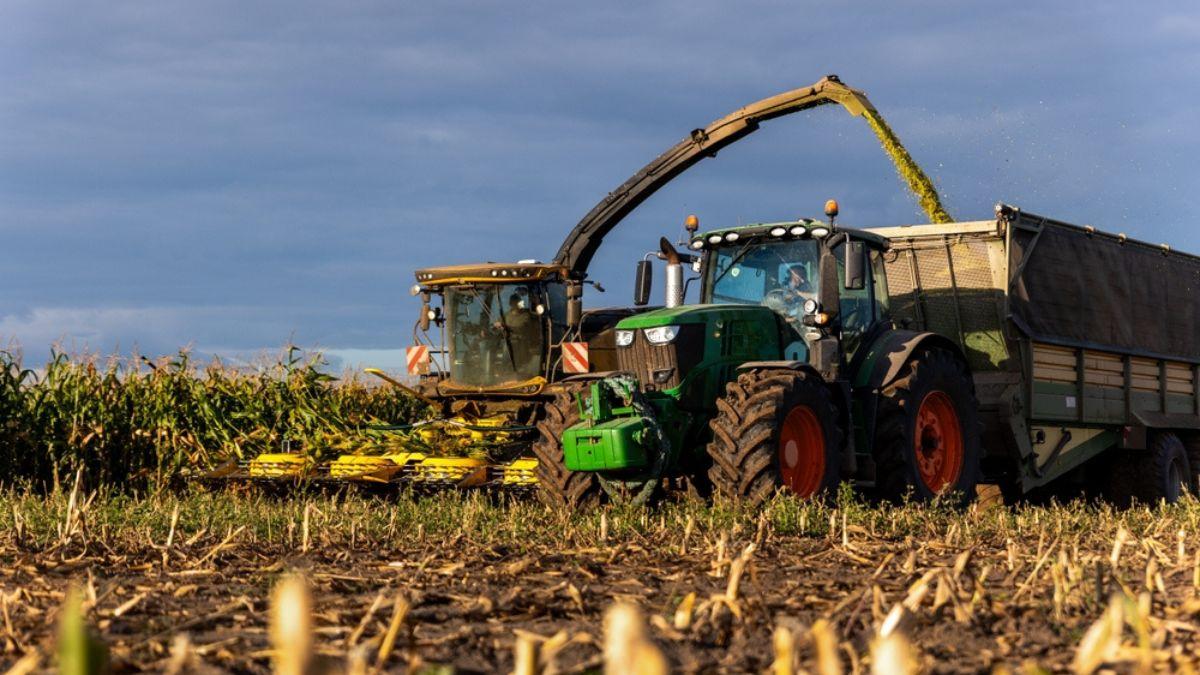 O contrato original previa a venda de 4.559 hectares (Imagem: Shutterstock)