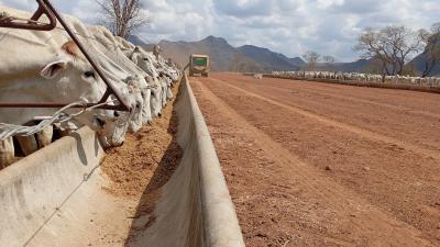 BEEF3 pagará taxa prefixada de 7,625% ao ano, além da variação do dólar (Imagem: Shutterstock)