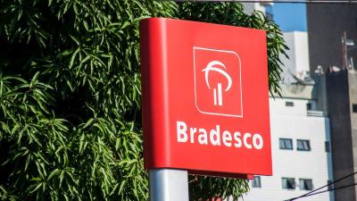 Segundo a XP, o caminho à frente tende a ser marcado por menos ganhos fáceis (Imagem: Shutterstock)