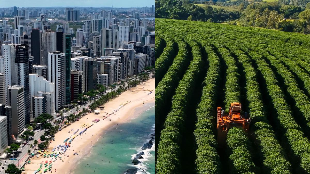 Títulos isentos ajudam a financiar o mercado imobiliário e o agronegócio (Imagem: Shutterstock)