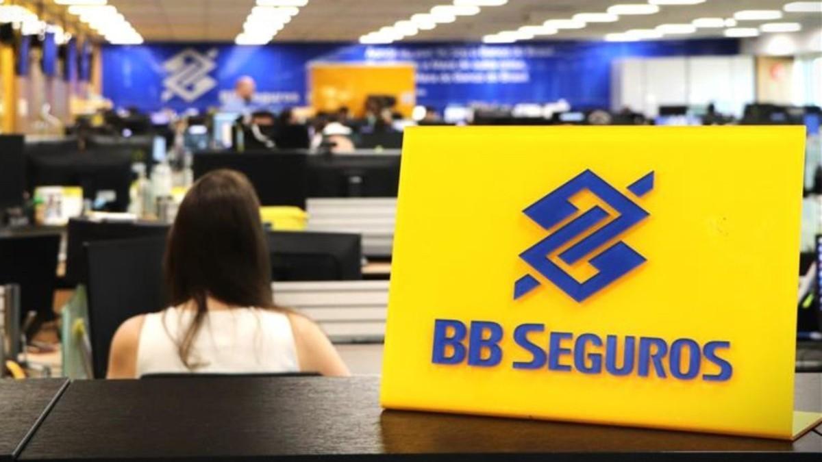 BBSE3 registra melhora da eficiência operacional no 1T26 (Imagem: Shutterstock)