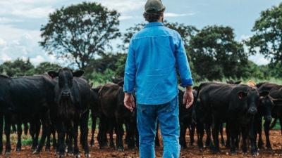 Ativa Investimentos tem preço-alvo de R$ 7 para BEEF3 em 2026 (Imagem: Divulgação/Minerva Foods)