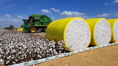 SLCE3 queimou caixa no 1T26 devido ao aumento dos insumos na atual safra (Imagem: Divulgação/SLC Agrícola)