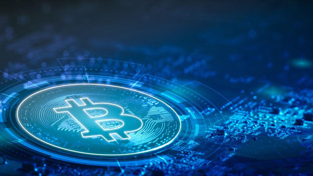 O preço médio da reserva está em torno de R$ 356,1 mil por BTC (Imagem: Shutterstock)