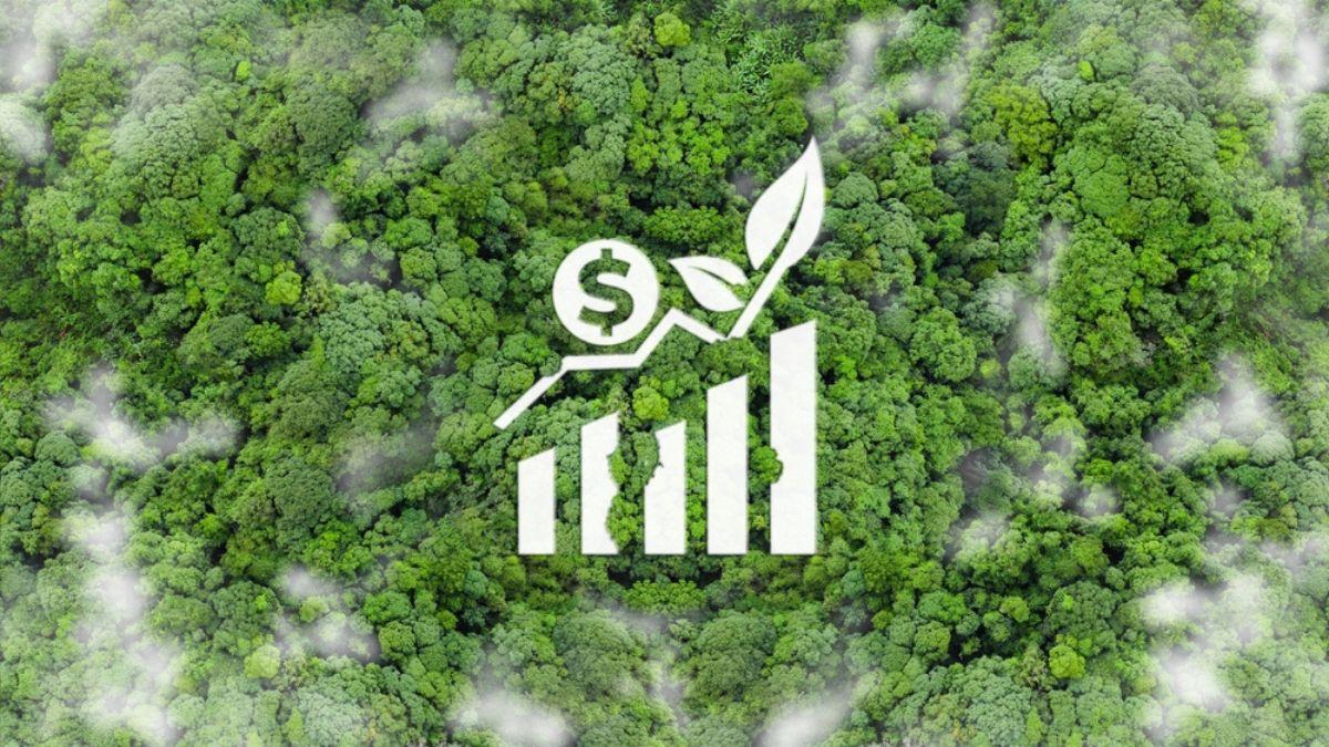 O Banco da Amazônia atua para o desenvolvimento da região amazônica (Imagem: Shutterstock)