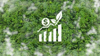 O Banco da Amazônia atua para o desenvolvimento da região amazônica (Imagem: Shutterstock)