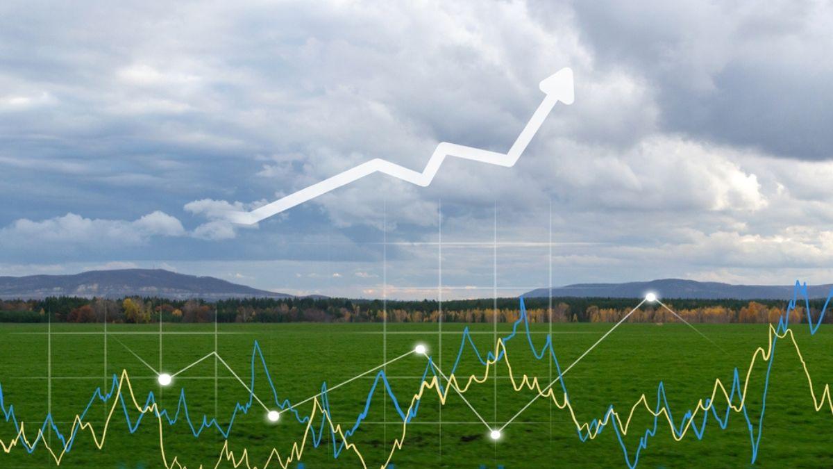 A XP detalhou o comportamento esperado para cada commodity (Imagem: Shutterstock)